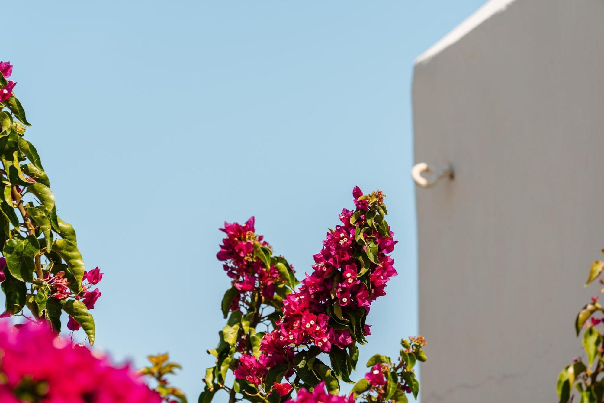 Rosabella Home Naxos City Ngoại thất bức ảnh